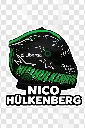 Nico HUlkenberg.webp